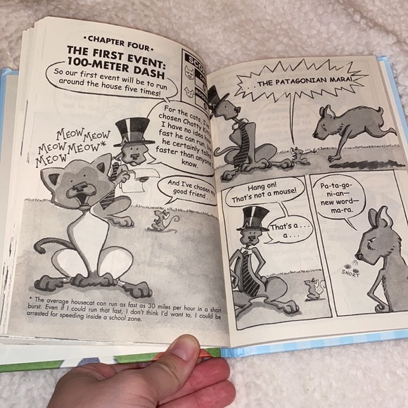 Bad kitty joins the team - Picture 4 of 6